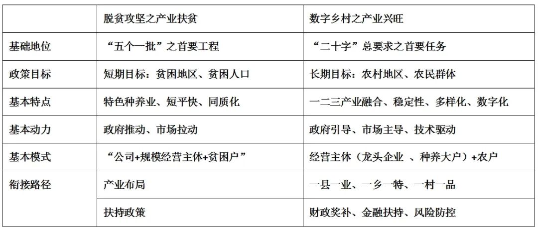 数字乡村建设的政策支持