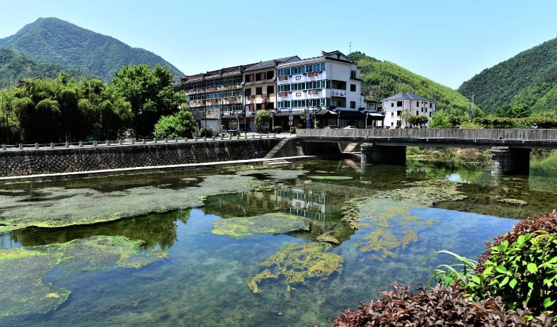数字化科技赋能乡村振兴：数字乡村建设的积极探索与深度思考