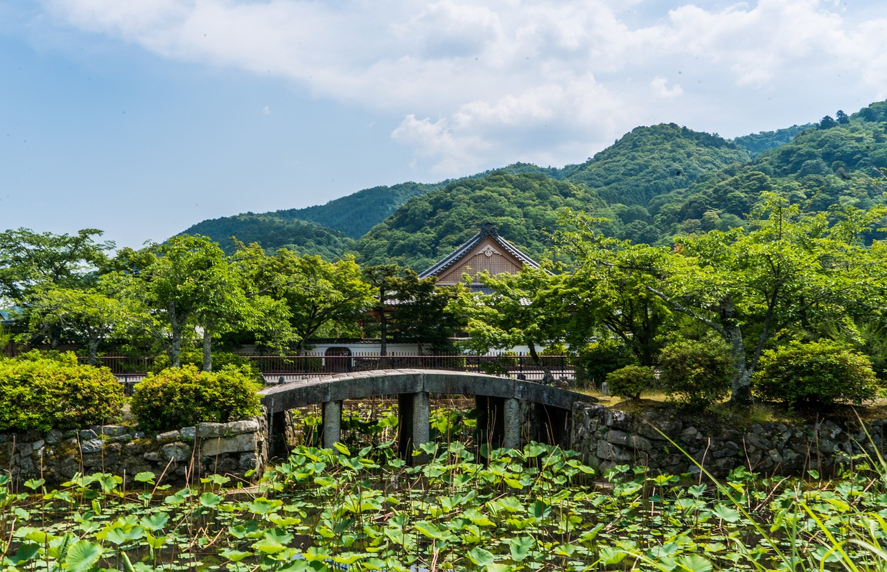构建数字乡村：连接城乡的数字桥梁与实施策略