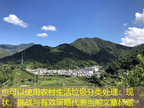 农村生活垃圾分类处理：现状、挑战与有效策略