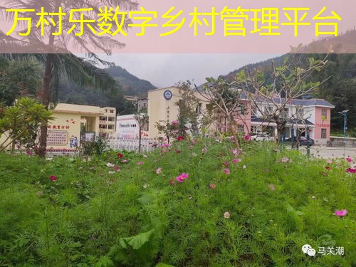 乡村数字孪生技术：定义、应用与未来展望