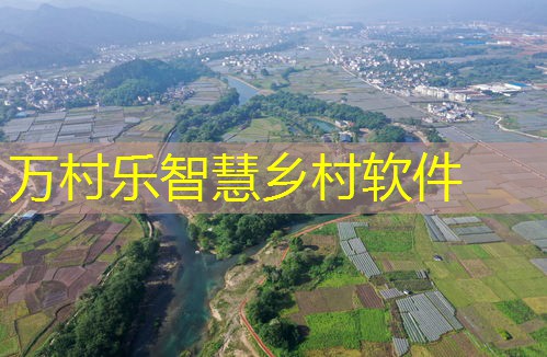 乡村振兴中的农村集体经济改革：发展模式与实践策略