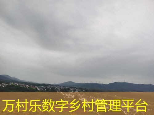 农业品牌价值与影响力提升：策略与实践