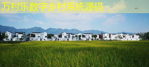 乡村基层党建引领工作：重要性、创新与实践