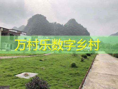 全面解读：乡村振兴政策分析与实施效果评估