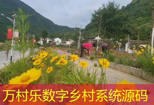 乡村振兴战略下的科技特派员制度：推动农村发展的关键力量