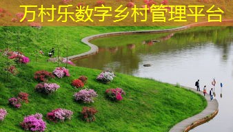 乡村多业态融合发展：模式、案例与未来趋势