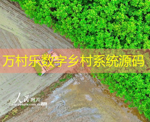 乡村基础设施建设：现状、挑战与未来展望