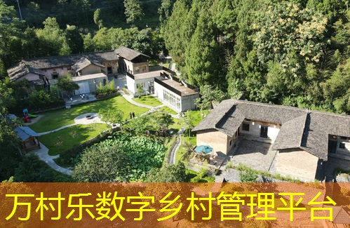 智慧农村数字环保监测：构建、创新与挑战
