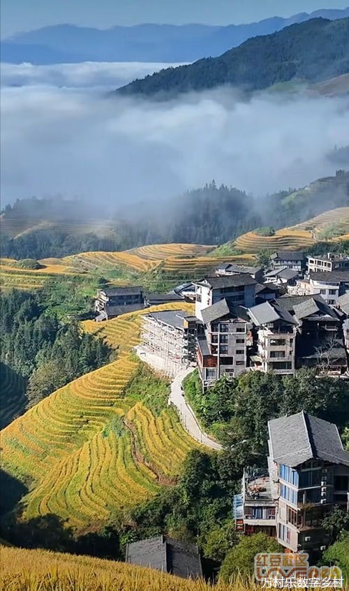 乡村治理中的移动支付与金融服务：应用现状、经济助力与安全挑战