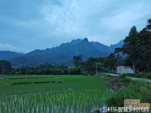 乡村治理中的移动支付与金融服务：应用现状、经济助力与安全挑战