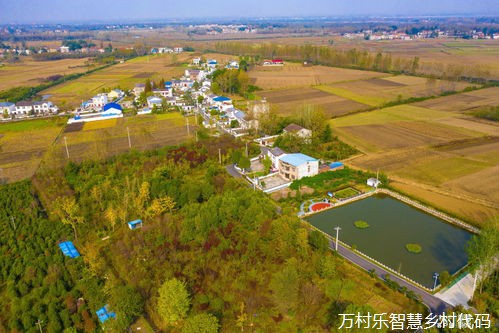 智慧乡村能源管理与节约：构建、实践与可持续策略
