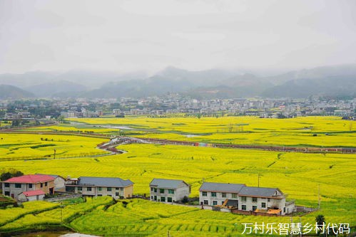 衢州市农业农村局 衢州农业农村