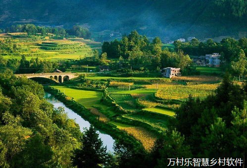 数字乡村：移动技术如何改变农村生活