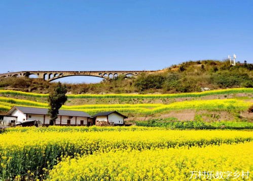 农村基础设施建设与乡村振兴的绿色创新：构建可持续发展的未来乡村