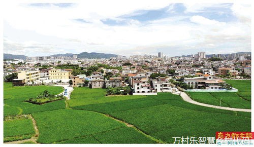 乡村振兴数字交通规划纲要：农业产业布局与数字化技术应用之路