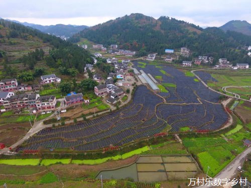 网跨千年，村中有“数”——“数字乡村”赋能西部发展观察
