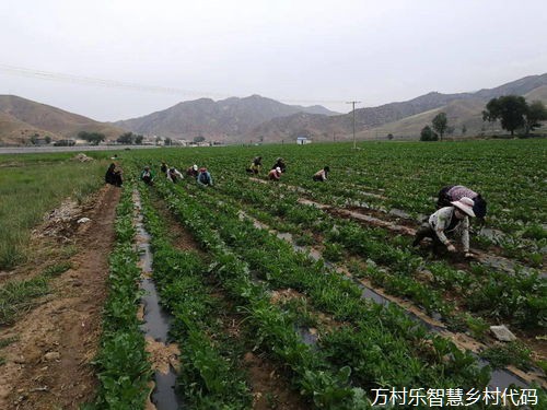 乡镇年轻干部座谈会发言材料范文6篇