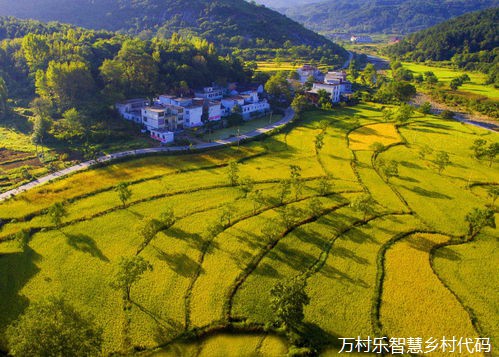 关于对市政协十四届二次会议 第124号提案的答复