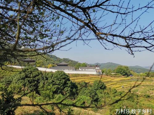 数字乡村为乡村振兴提供新动能