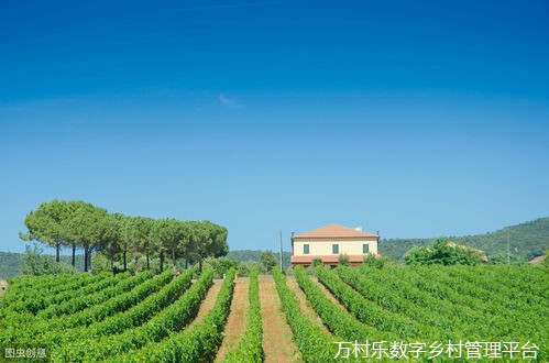 多措并举助力乡村产业发展