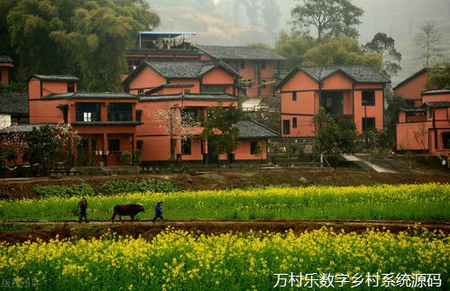 以法治之力为乡村振兴蓄势赋能