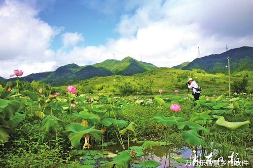 探寻乡村历史足迹：价值、挑战与未来