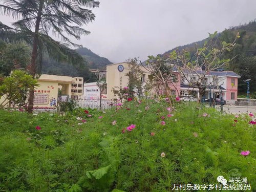 深化国际合作，助力乡村农业发展：态势、机遇、挑战、实践与启示