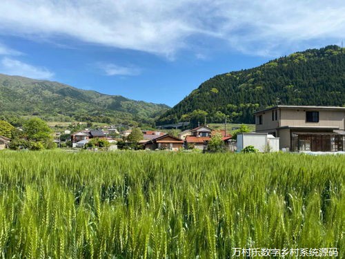 探索乡村文化保护项目：守护乡村记忆，激活乡村振兴之路