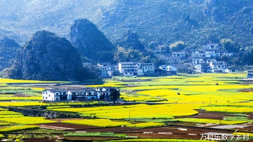 贴心关怀，专业护航：打造全方位特殊人群服务体系