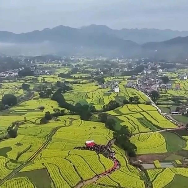 新思想引领新征程丨加快建设数字乡村 推进农业农村现代化